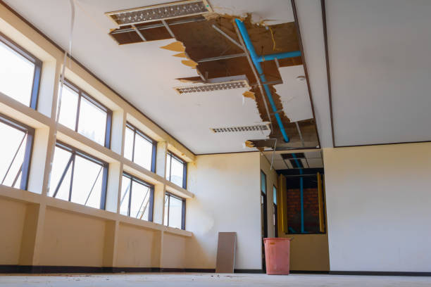 Best Residential water damage restoration  in Rossvle, IL