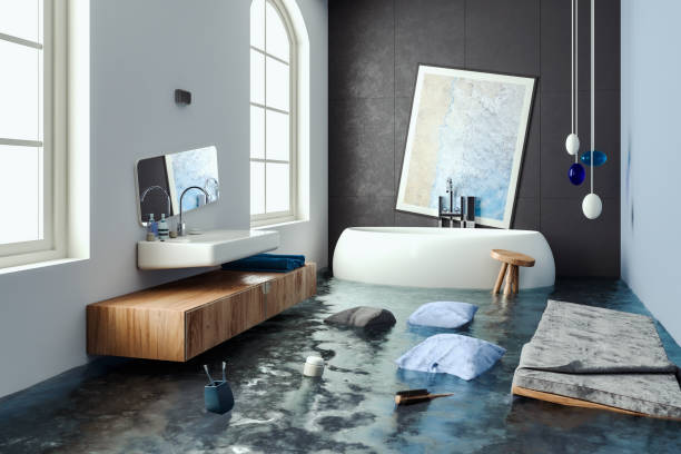Best Commercial water damage restoration  in Rossvle, IL
