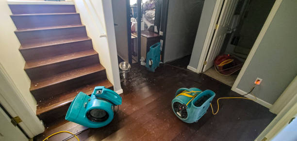 Best Water damage restoration cost  in Rossvle, IL