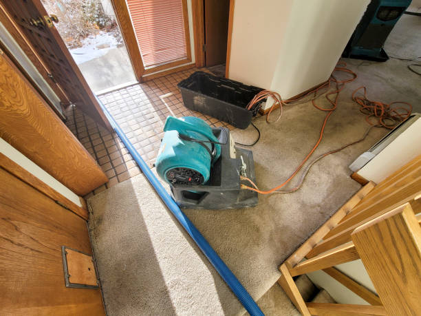 Best 24/7 water damage repair  in Rossvle, IL