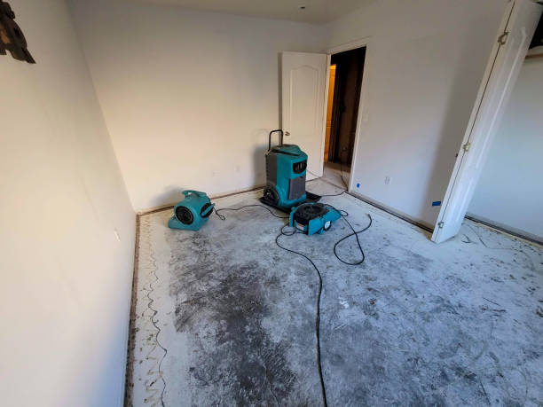 Best Flooded house restoration  in Rossvle, IL