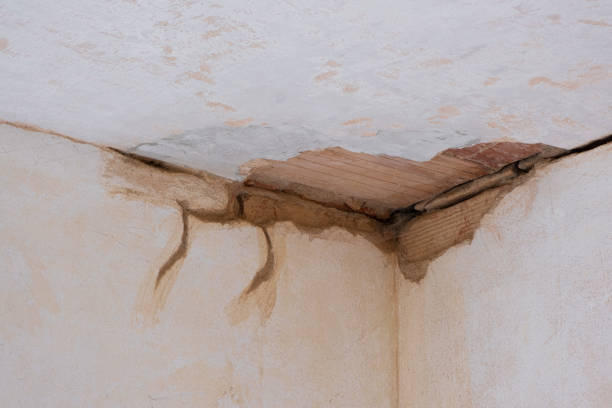 Best Water damage cleanup near me  in Rossvle, IL