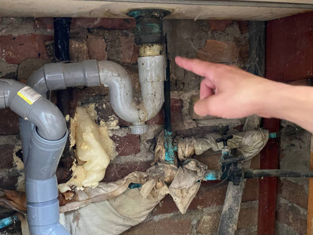 Best Water damage restoration near me  in Rossvle, IL