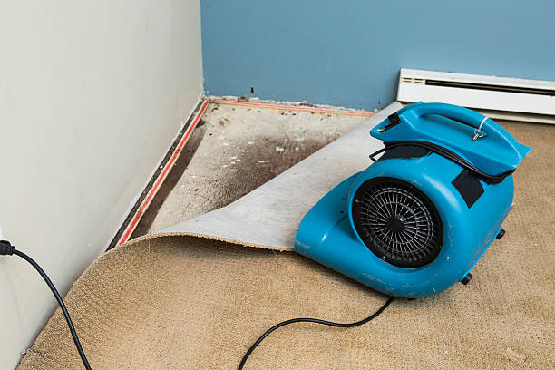 Best Basement water damage restoration  in Rossvle, IL